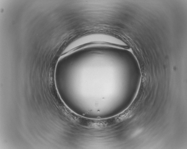 X0000057090466200510071916