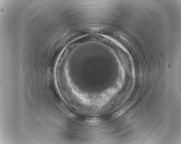 X0000057090467200510071916