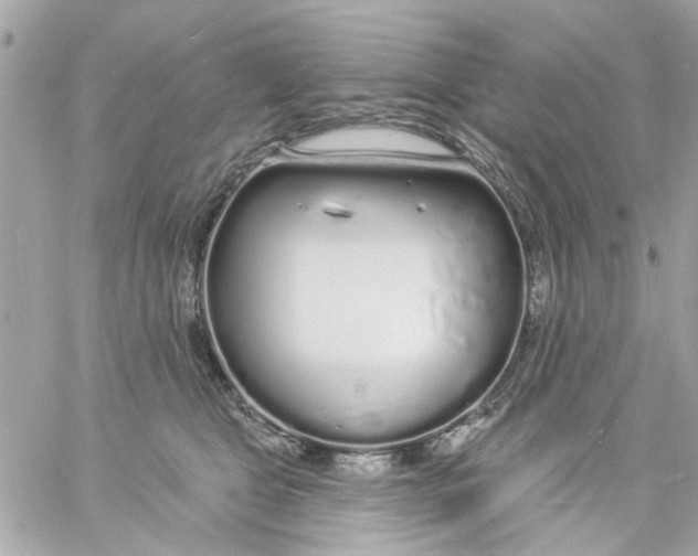 X0000057090469200510071916