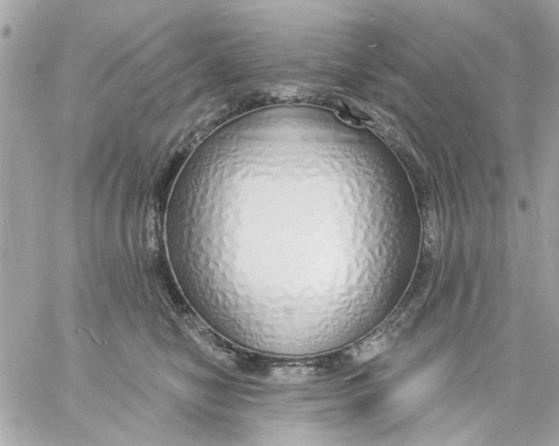 X0000057090470200510071916