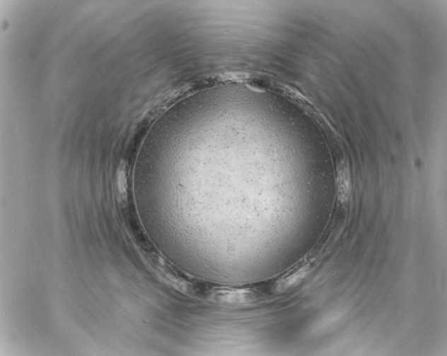 X0000057090472200510071916