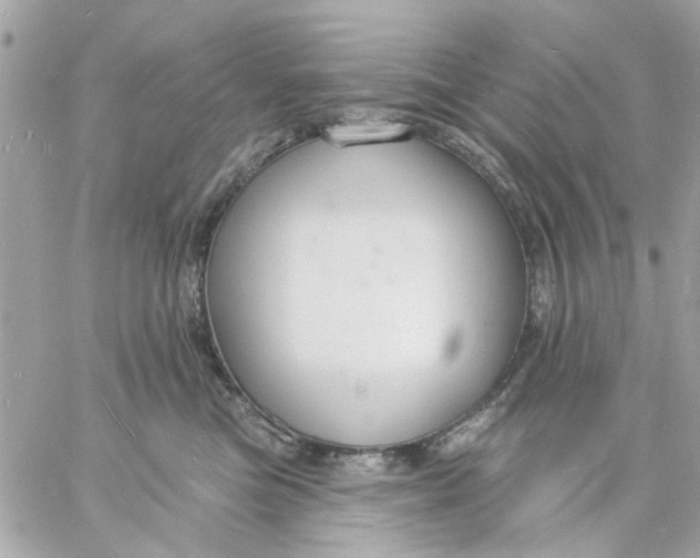 X0000057090473200510071916