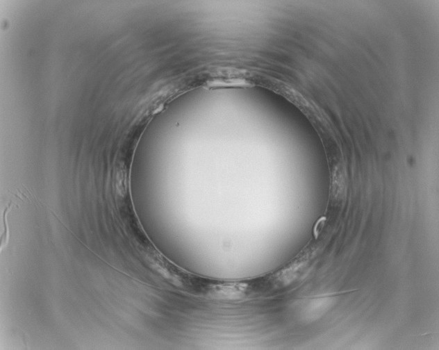 X0000057090474200510071916