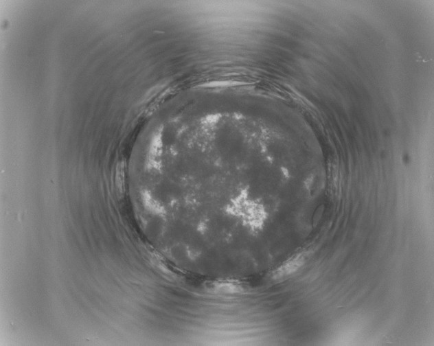 X0000057090475200510071916