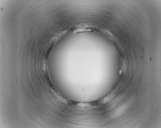 X0000057090477200510071916