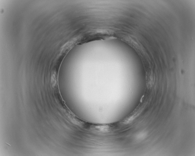 X0000057090478200510071916