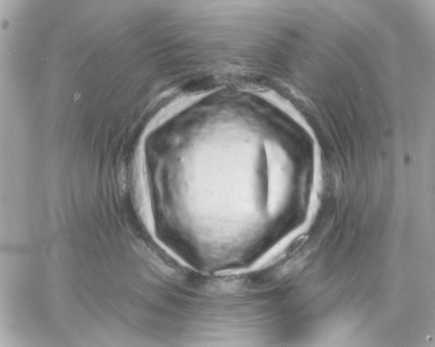 X0000057090479200510071916