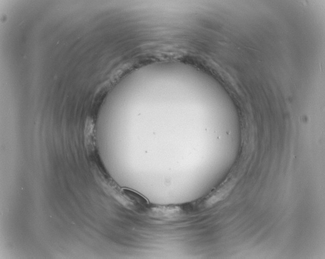 X0000057090480200510071916