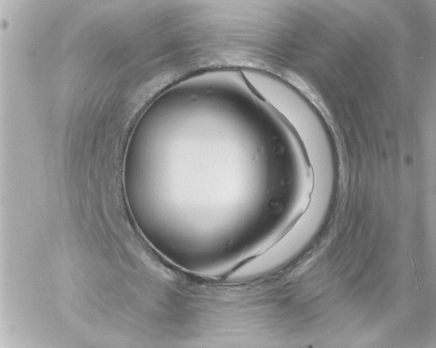 X0000057090481200510071915