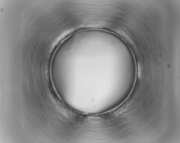 X0000057090483200510071915