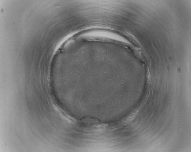 X0000057090484200510071915