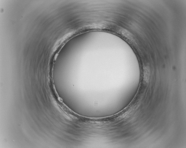 X0000057090486200510071915