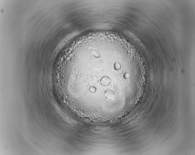 X0000057090487200510071915