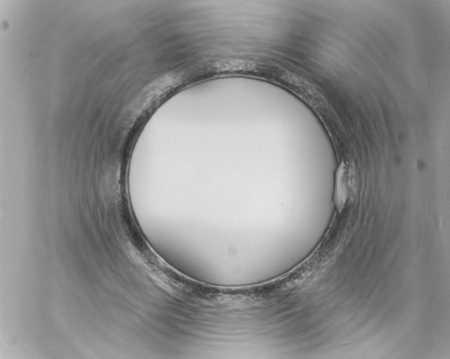 X0000057090490200510071915