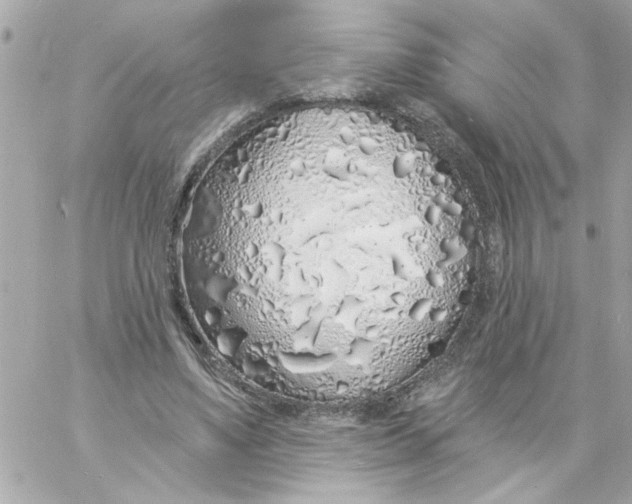 X0000057090491200510071915