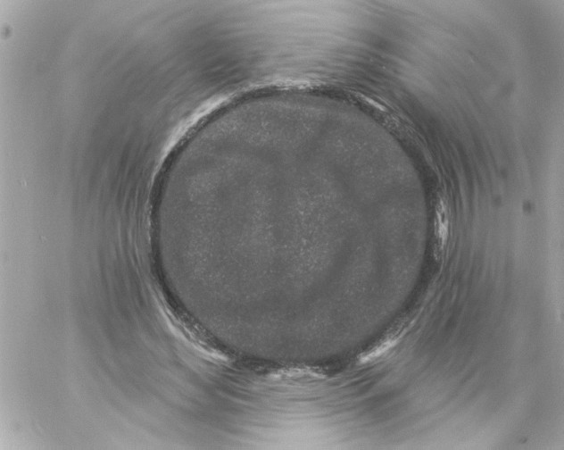 X0000057090492200510071915