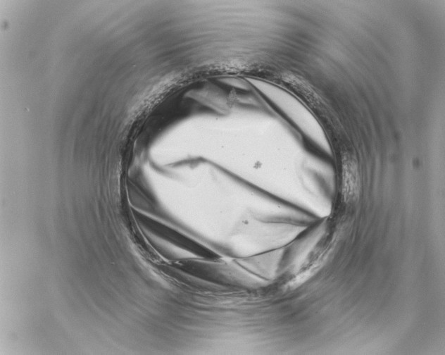 X0000057090493200510071915