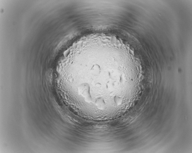 X0000057090495200510071915