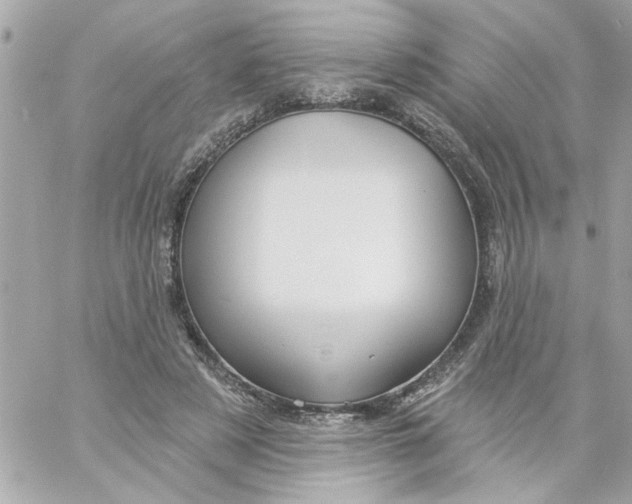 X0000057090497200510071915