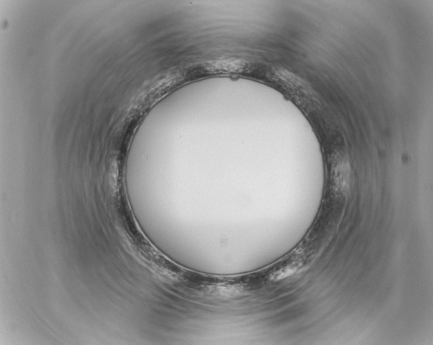 X0000057090498200510071915