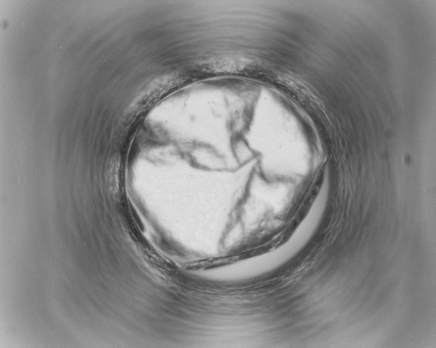 X0000057090501200510071915