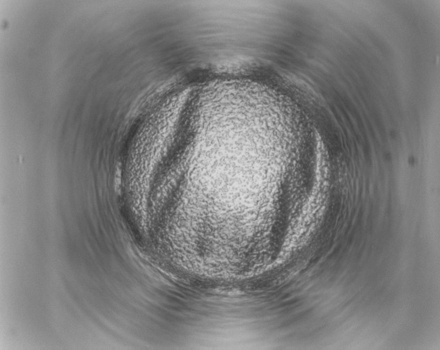 X0000057090502200510071915