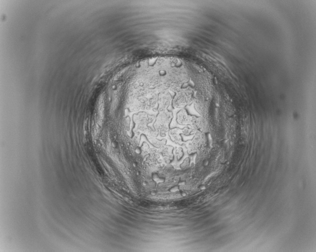 X0000057090503200510071915