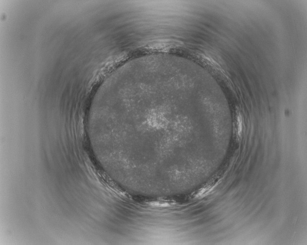 X0000057090504200510071915