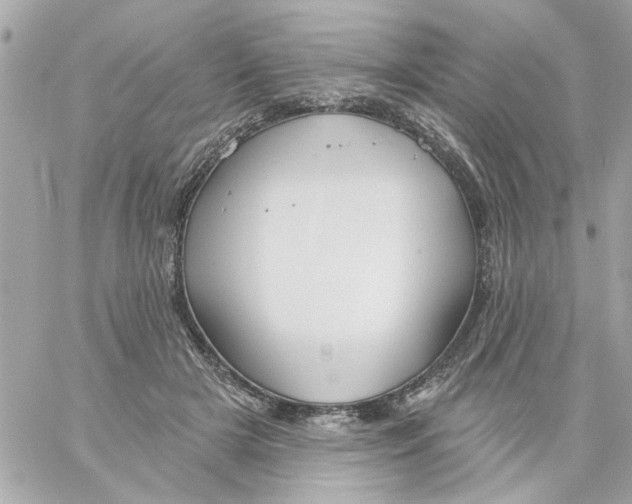 X0000057090505200510071915