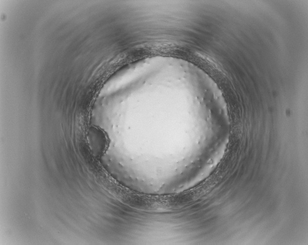 X0000057090506200510071915