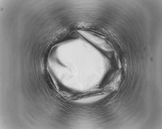 X0000057090508200510071914