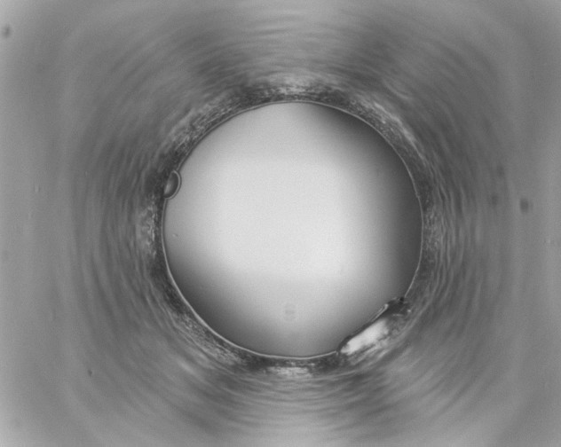 X0000057090509200510071914