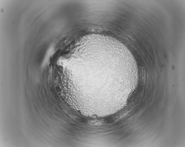 X0000057090511200510071914