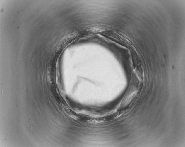 X0000057090512200510071914