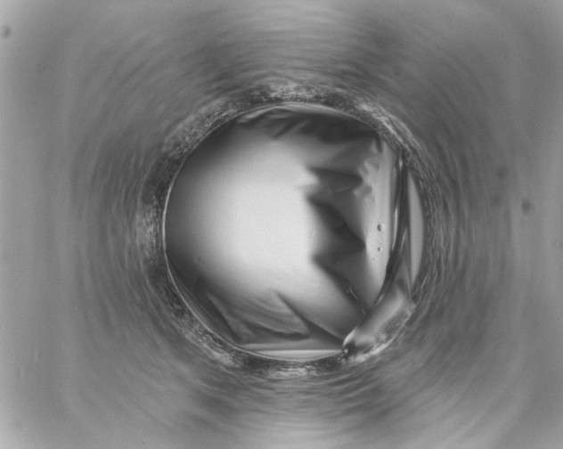 X0000057090513200510071914