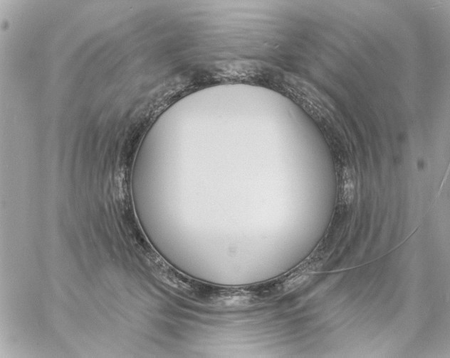 X0000057090514200510071914