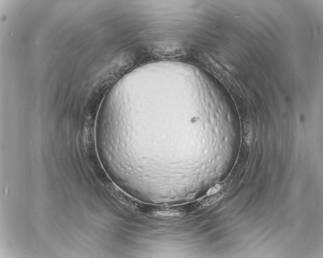 X0000057090515200510071914