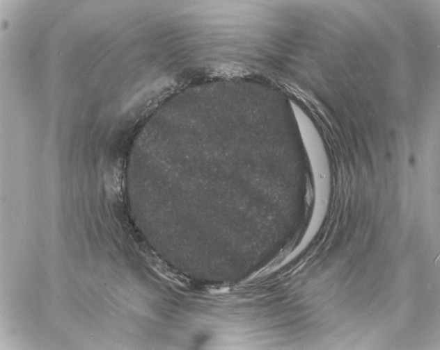 X0000057090517200510071914