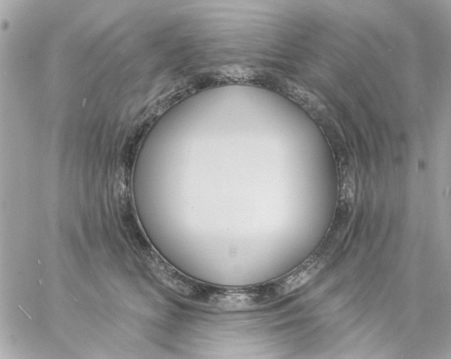 X0000057090518200510071914