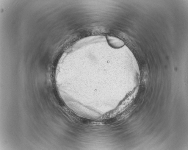 X0000057090519200510071914