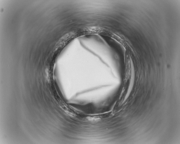 X0000057090520200510071914