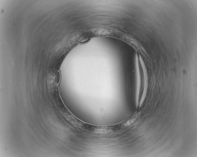 X0000057090521200510071914