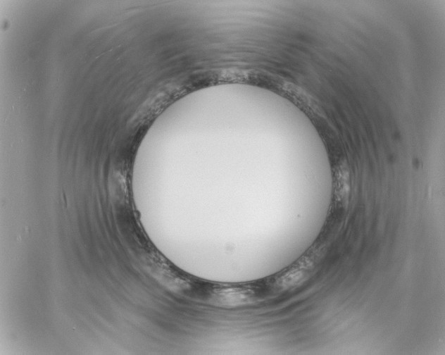 X0000057090522200510071914