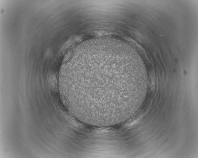 X0000057090523200510071914