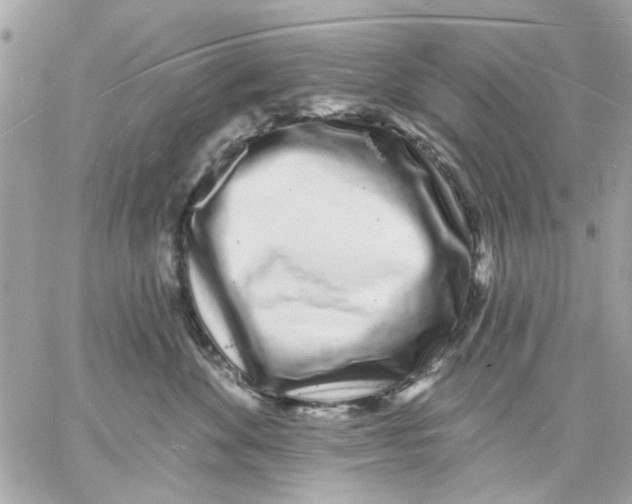 X0000057090524200510071914