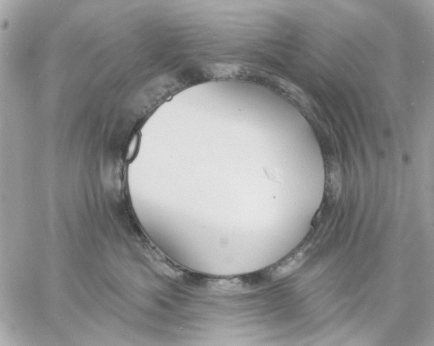 X0000057090525200510071914