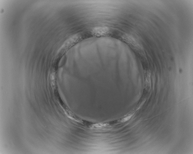 X0000057090526200510071914