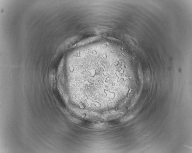 X0000057090527200510071914