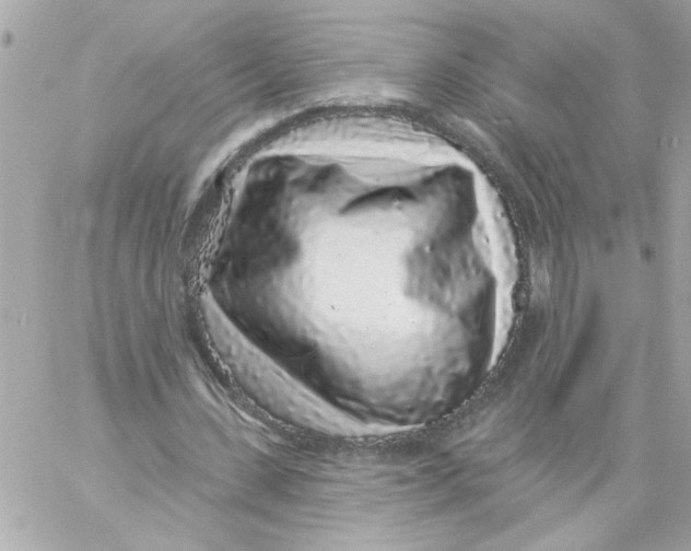 X0000057090531200510071913