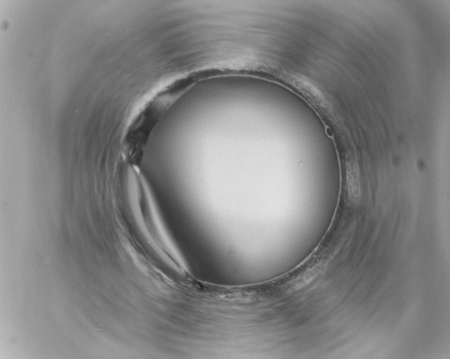 X0000057090532200510071913